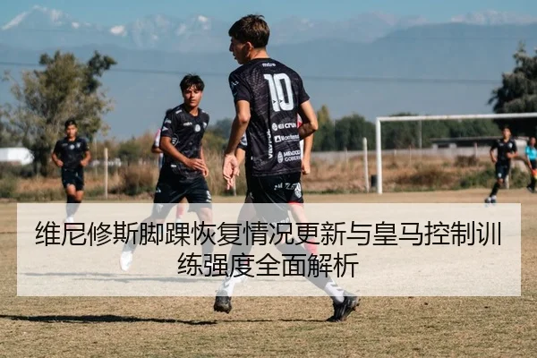 维尼修斯脚踝恢复情况更新与皇马控制训练强度全面解析